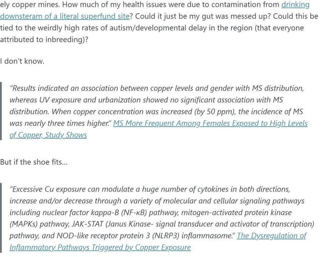 Quoted tweet image 1