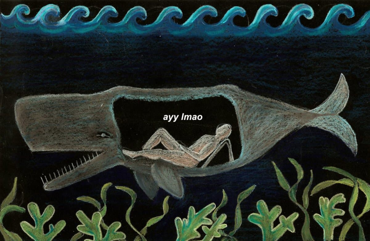 Tweet image 1
