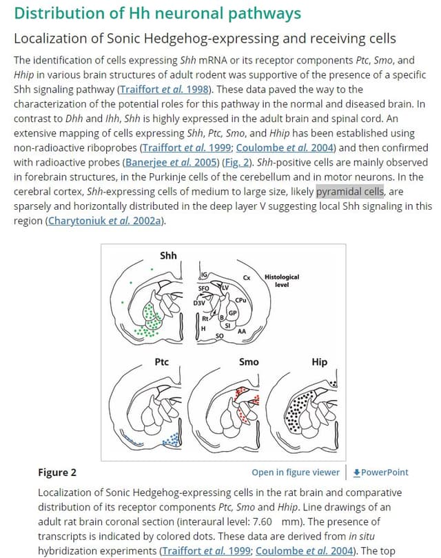 Quoted tweet image 1