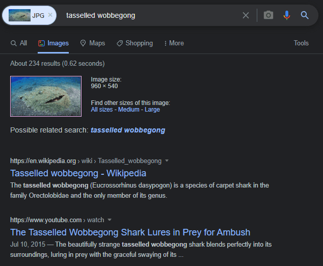 Quoted tweet image 1