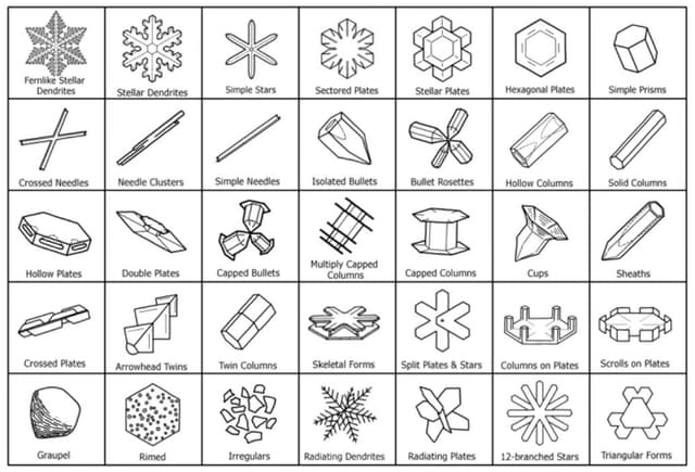 Quoted tweet image 1