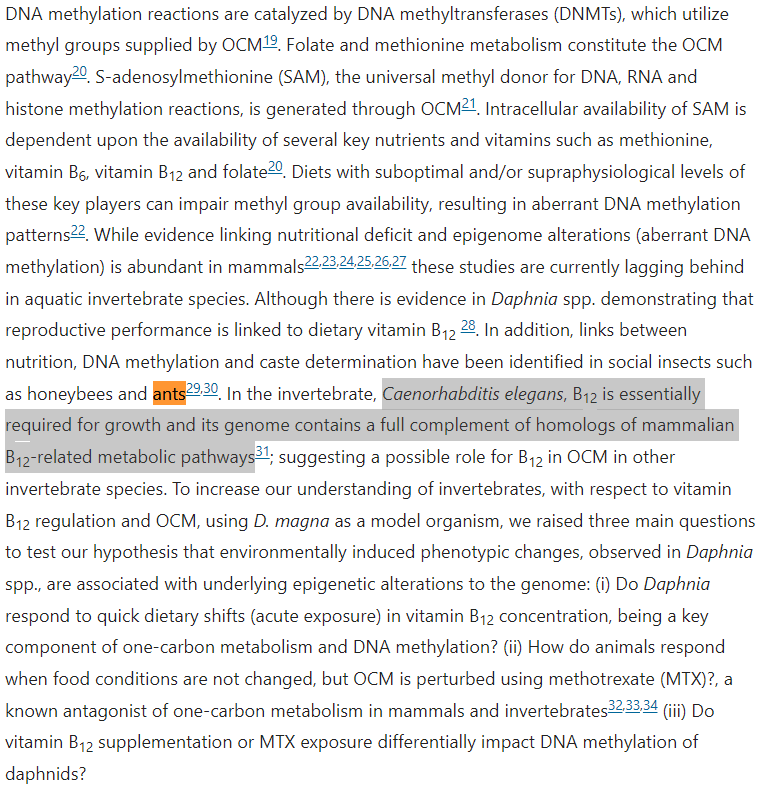 Quoted tweet image 1