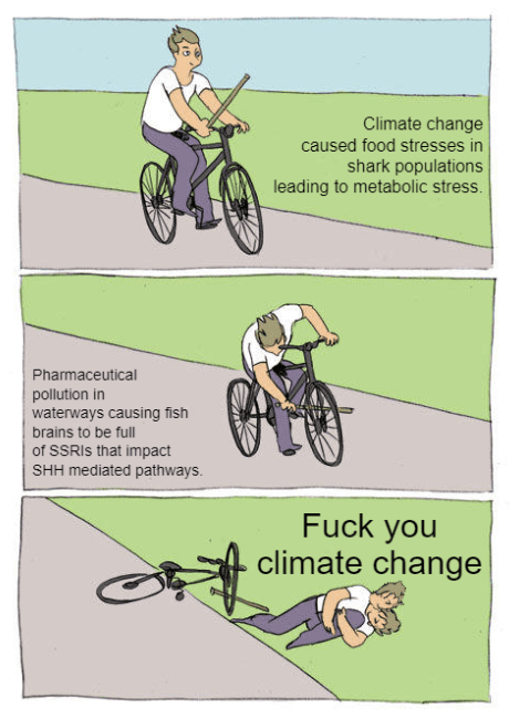 Quoted tweet image 1