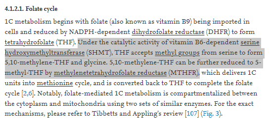 Quoted tweet image 1