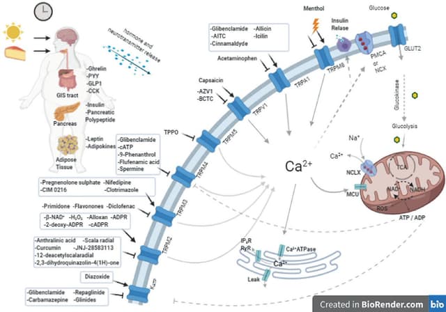 Quoted tweet image 1