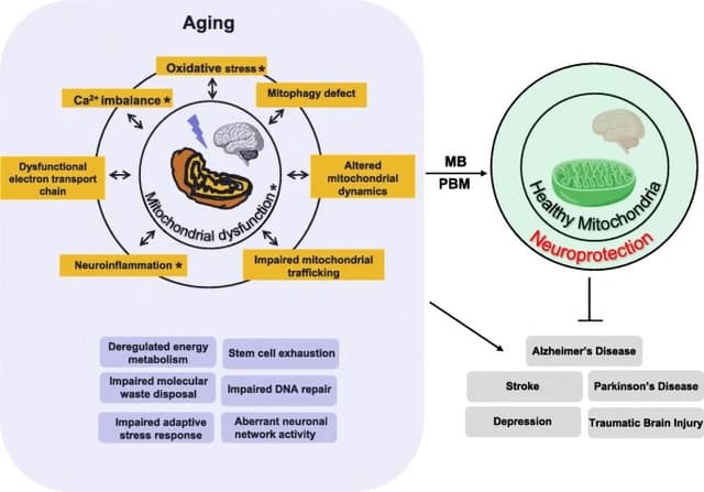 Quoted tweet image 1