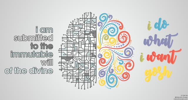 Quoted tweet image 1