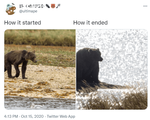 Quoted tweet image 1