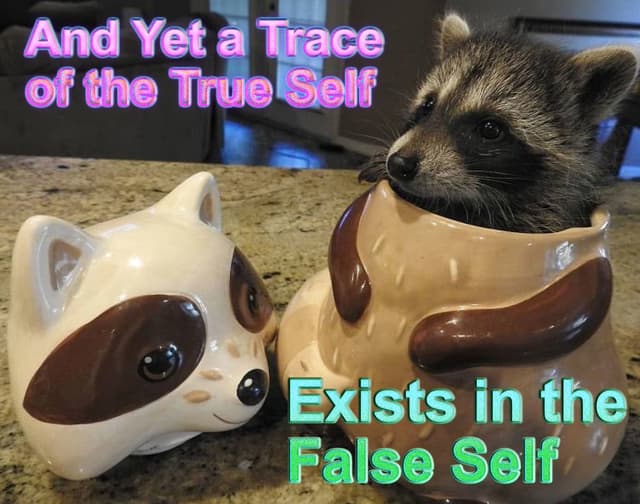 Quoted tweet image 1