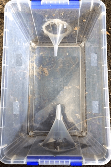 Quoted tweet image 1