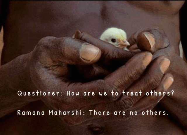 Quoted tweet image 1