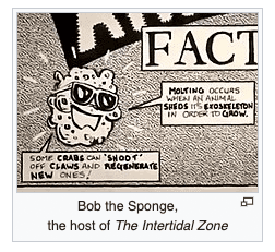 Quoted tweet image 1