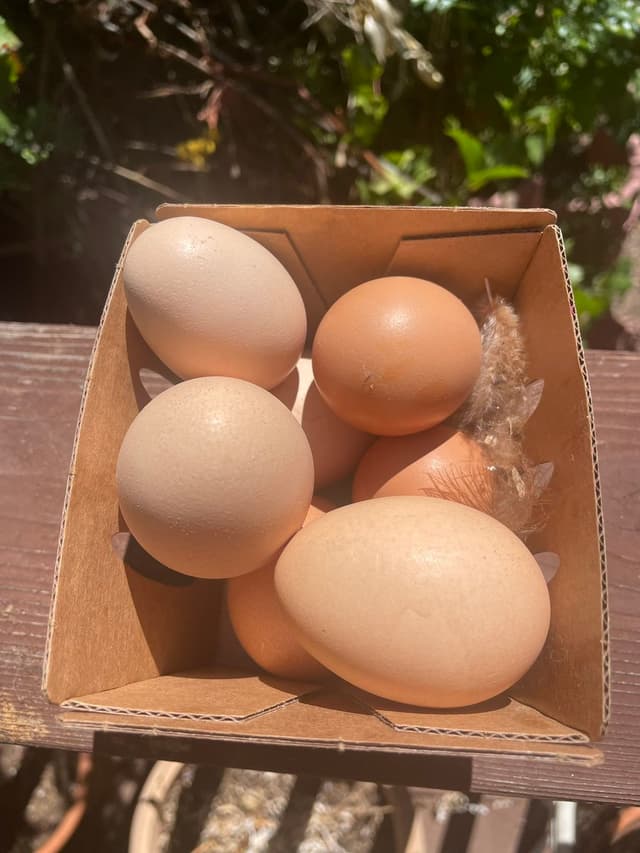 Quoted tweet image 1