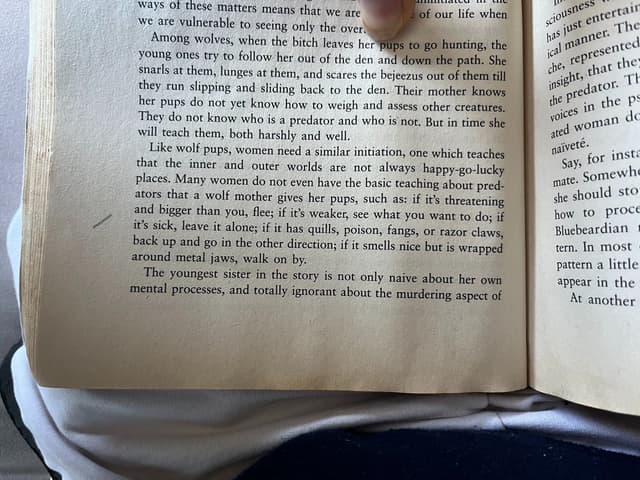 Quoted tweet image 1