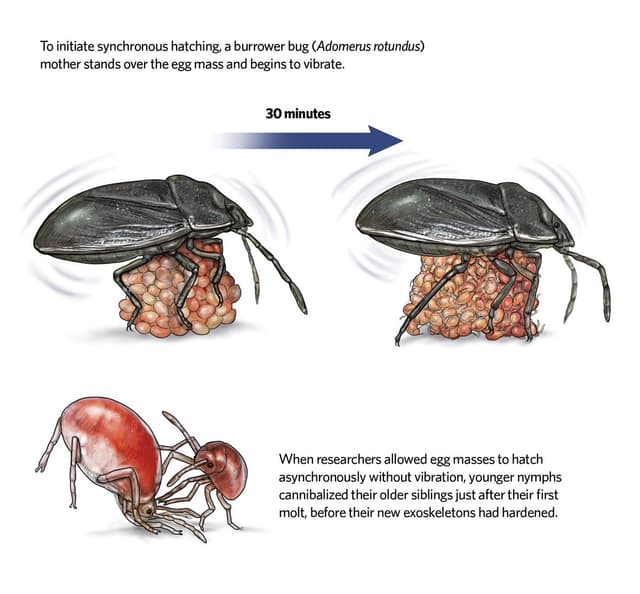 Quoted tweet image 1