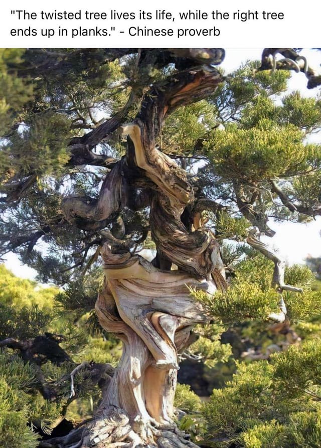 Quoted tweet image 1