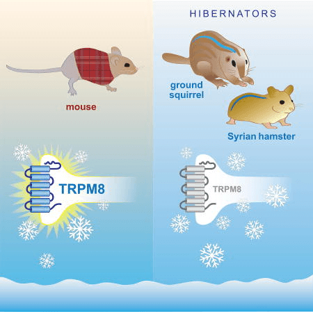 Quoted tweet image 1