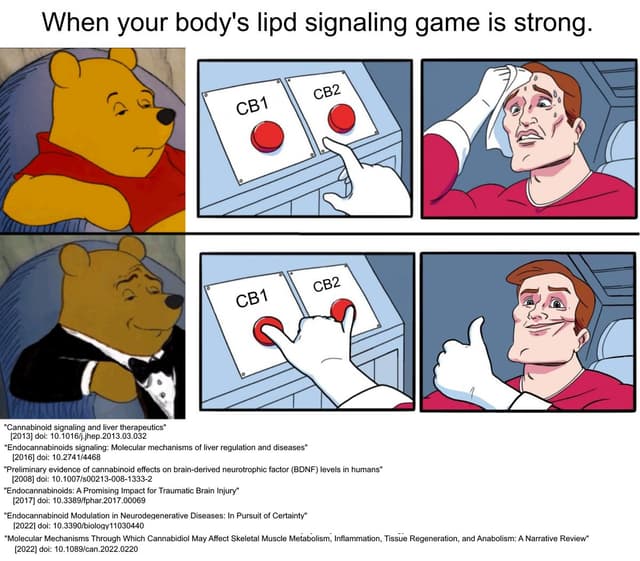 Quoted tweet image 1