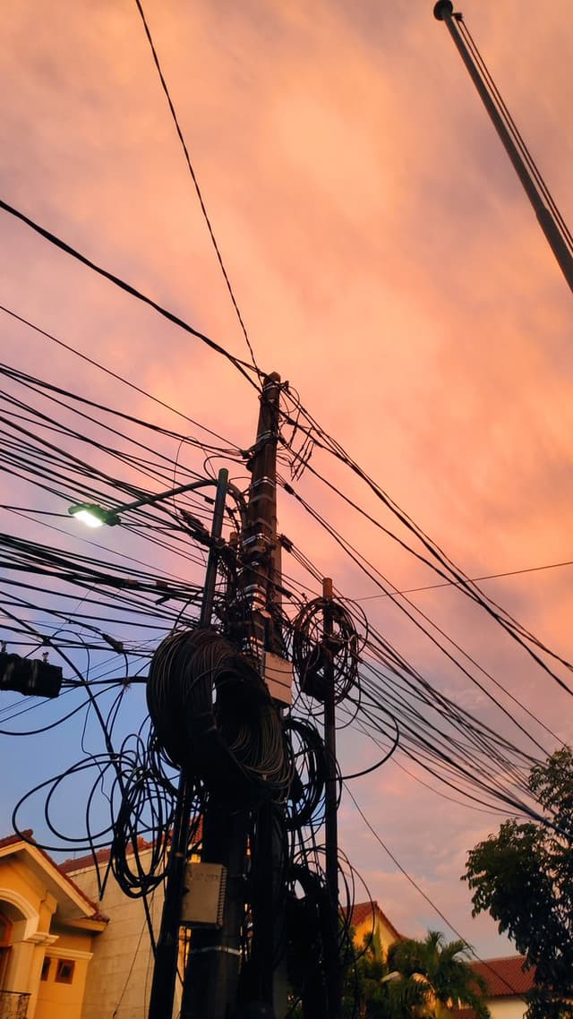 Quoted tweet image 1