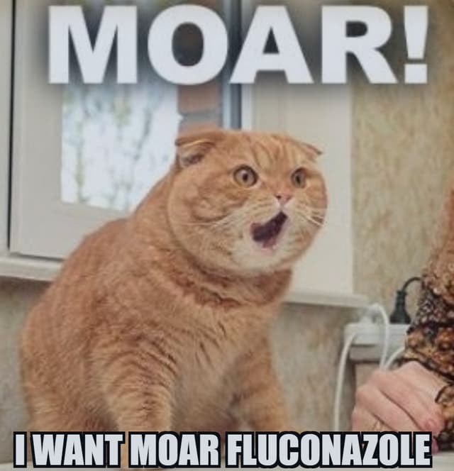 Quoted tweet image 1