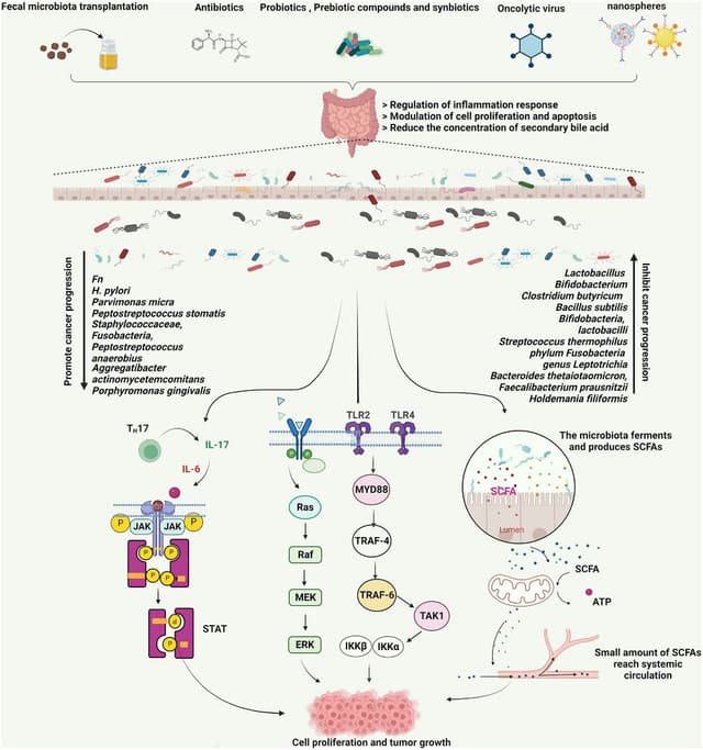 Quoted tweet image 1