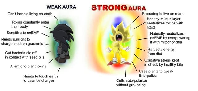 Quoted tweet image 1