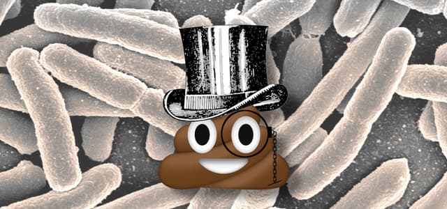 Quoted tweet image 1