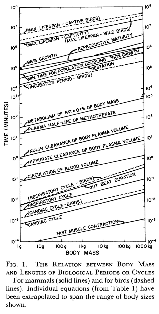 Quoted tweet image 1