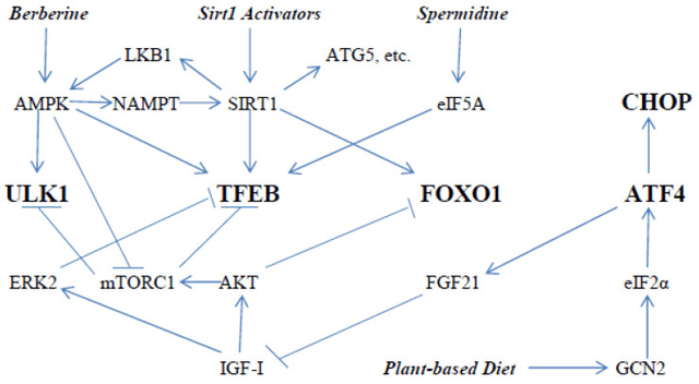 Quoted tweet image 1