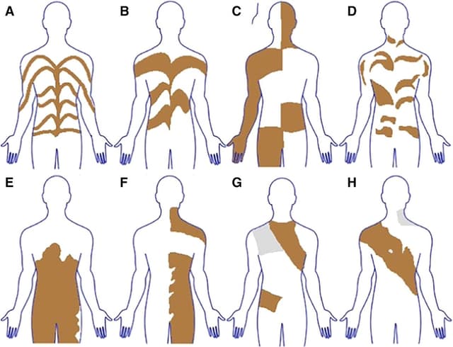 Quoted tweet image 1