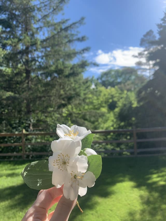 Quoted tweet image 1