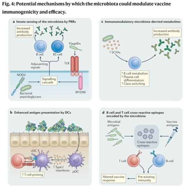 Quoted tweet image 2