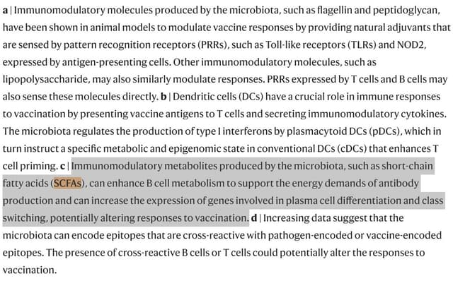 Quoted tweet image 1