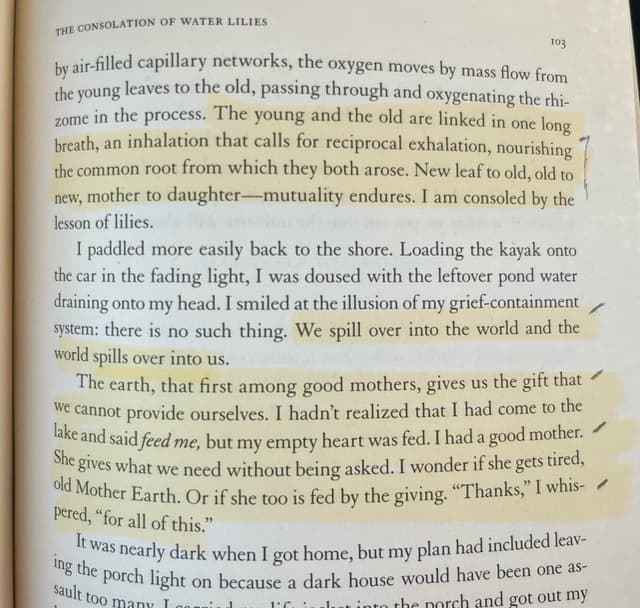 Quoted tweet image 1