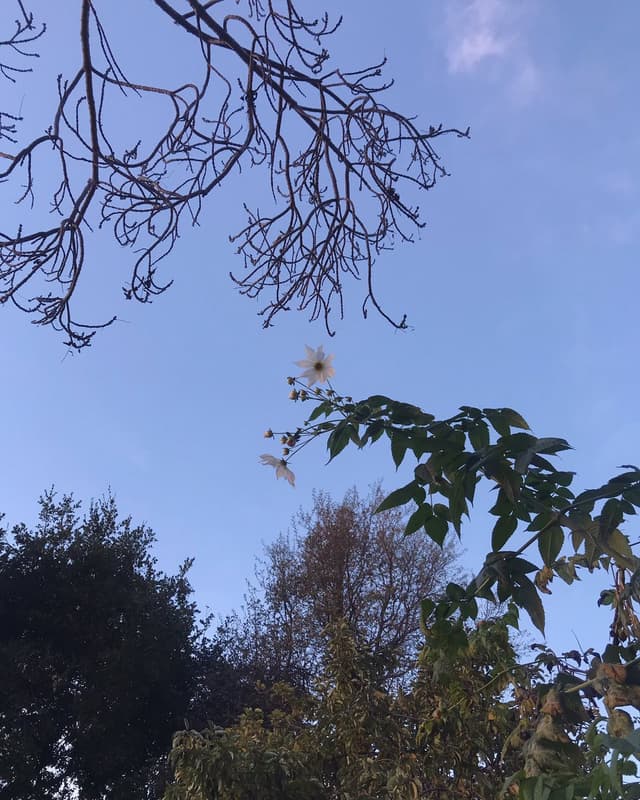 Quoted tweet image 1