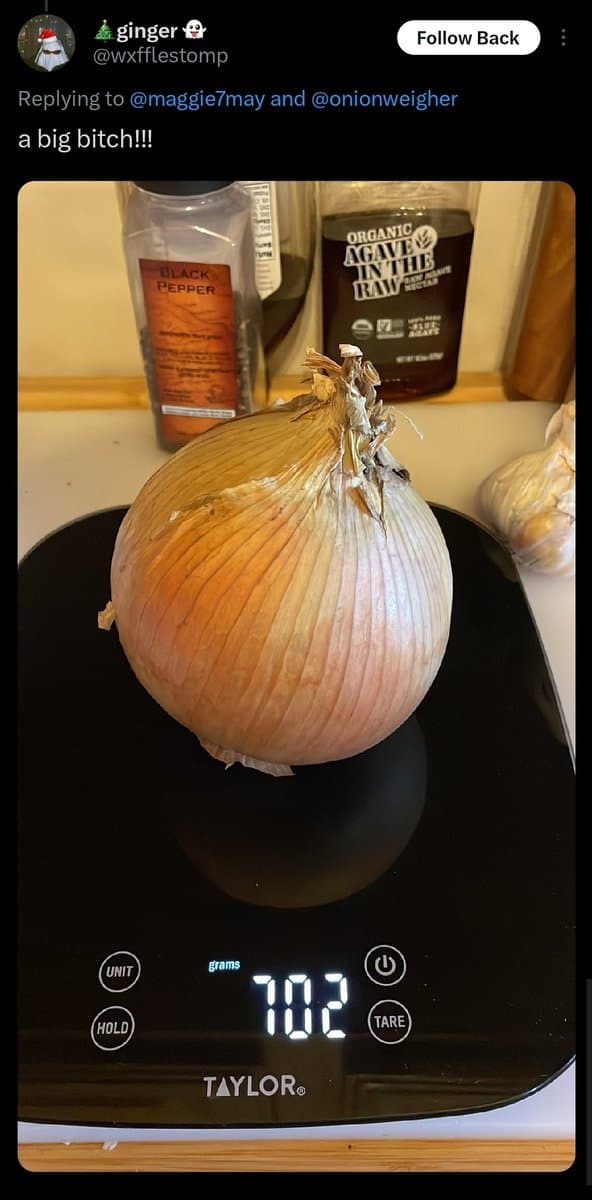 Quoted tweet image 2