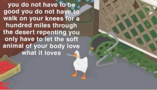 Quoted tweet image 1