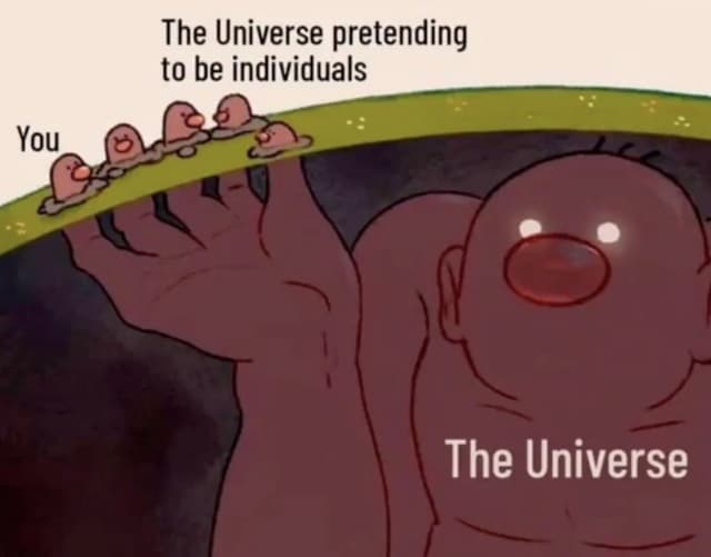 Quoted tweet image 1