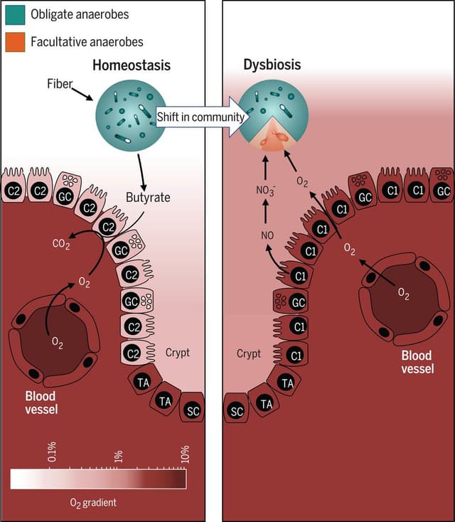 Quoted tweet image 1