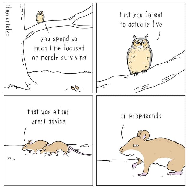 Quoted tweet image 1