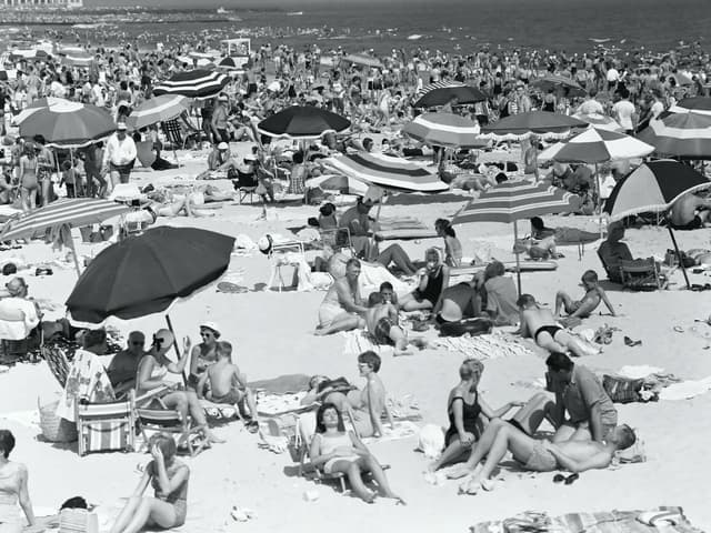 Quoted tweet image 1