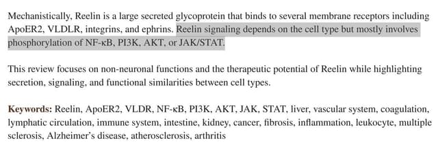 Quoted tweet image 1