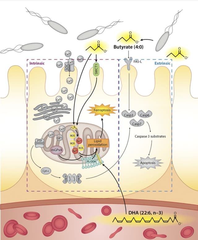 Quoted tweet image 1