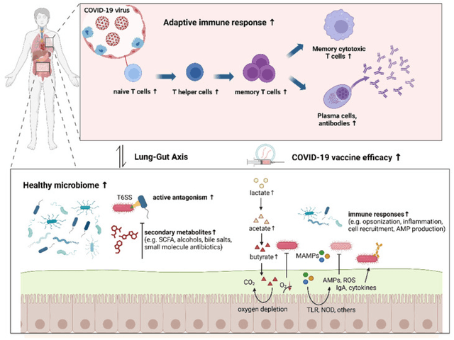 Quoted tweet image 1