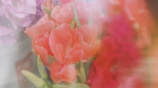 Quoted tweet image 2