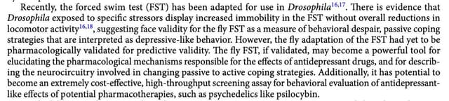 Quoted tweet image 2