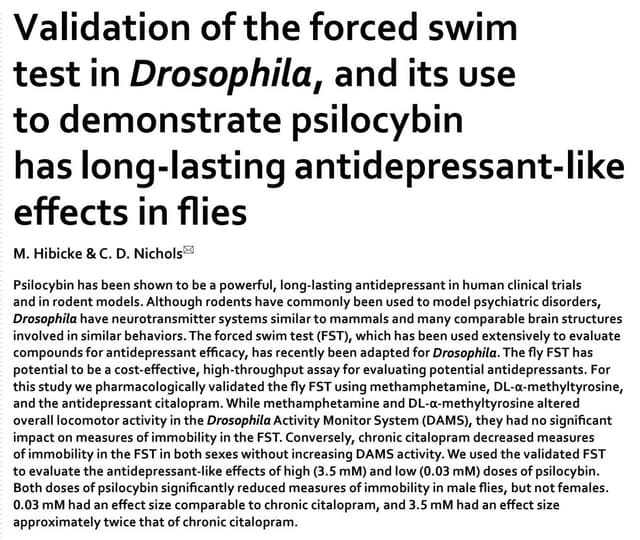 Quoted tweet image 1