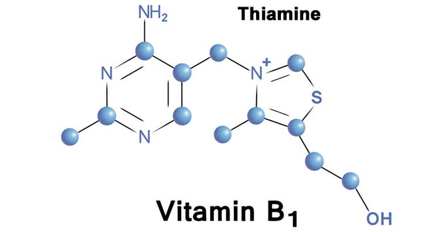 Quoted tweet image 1