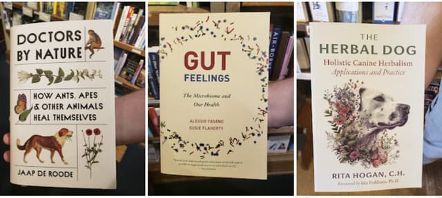 Quoted tweet image 1